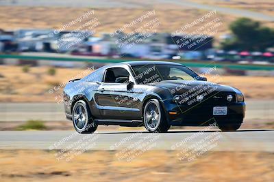 media/Nov-16-2024-Extreme Speed (Sat) [[6587d07cc4]]/Gold Group/Session 1 (Turn 2)/